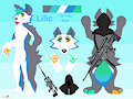 Lilic Reference Sheet