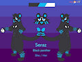 Seraz 2022 Reference Sheet