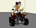 Foxbum on a Quadbike