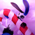 Mr.Cloudly bunny