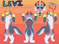 Levi Reference Sheet