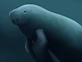 sea cow by arttemisia