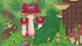 Mushland