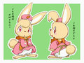 PANTSU USAGI