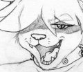 Kuma clings to nofing 