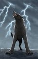 In The Storm by Kuuda
