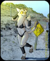 Leading Swimsuit Meowth