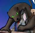 Ship's Fox page 31