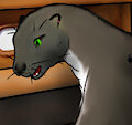 Ship's Fox page 32