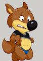 Mini-Loup Swimsuit by Dandi