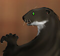 Ship's Fox page 35