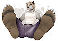 Patreon commissions