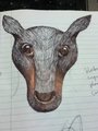 head thingy