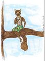 pine martin commission