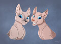 Sphynx sisters
