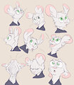 221208 Faces