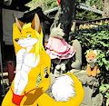 Visit the Fox Shrine :3