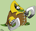 Krook