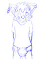 shy wip