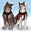 Balto and Kodi