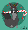 Christmas Gris
