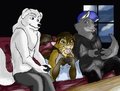 Couch co op