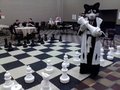 DaishoCon - White Queen to Black Knight......wait...