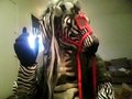My Zebra Fursuit by huthro