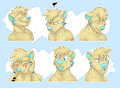 Otter Faces