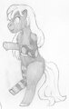 New pony: Blanket by Tavvycat