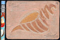 Cone Shell