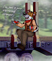 The Wayfaring Stranger