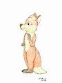 Zorrito