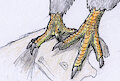talon study by DatuKampilan