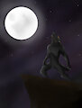 Midnight song