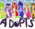 *PREORDERS AVAILABLE- Fruity foxes