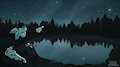 Lone stargazing by Silvetz