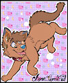 03/05/21 Feral puppy!
