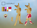 Caraway Reference (WIP)