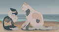 Saltwhisker and Tinymouse by XxBattycatxX