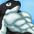 Orca (2)