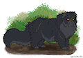 [Fanart] Yellowfang
