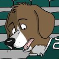 Philadelphia Beagle TF
