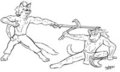 sparring 1