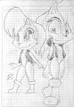 Sally Acorn