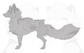 canine base