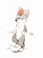 Zorrito tranquilo