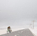 Braving the Winter Storm