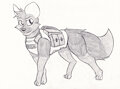 MWD