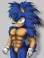 Sonic the Hedgehog (2)